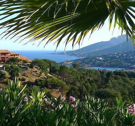 Apartment Les Terrasses Theoule-sur-Mer