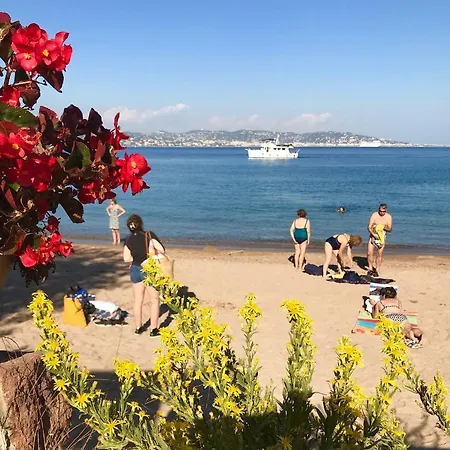 Les Terrasses *